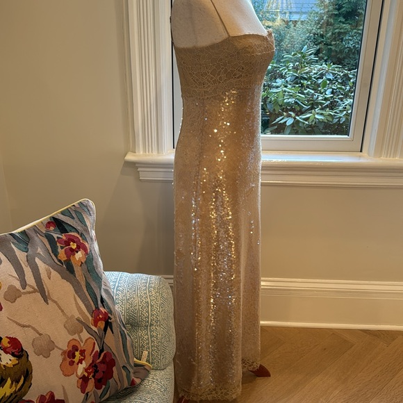 JONATHAN SIMKHAI Ginger Root Valentina Slip Dress - Picture 7 of 7